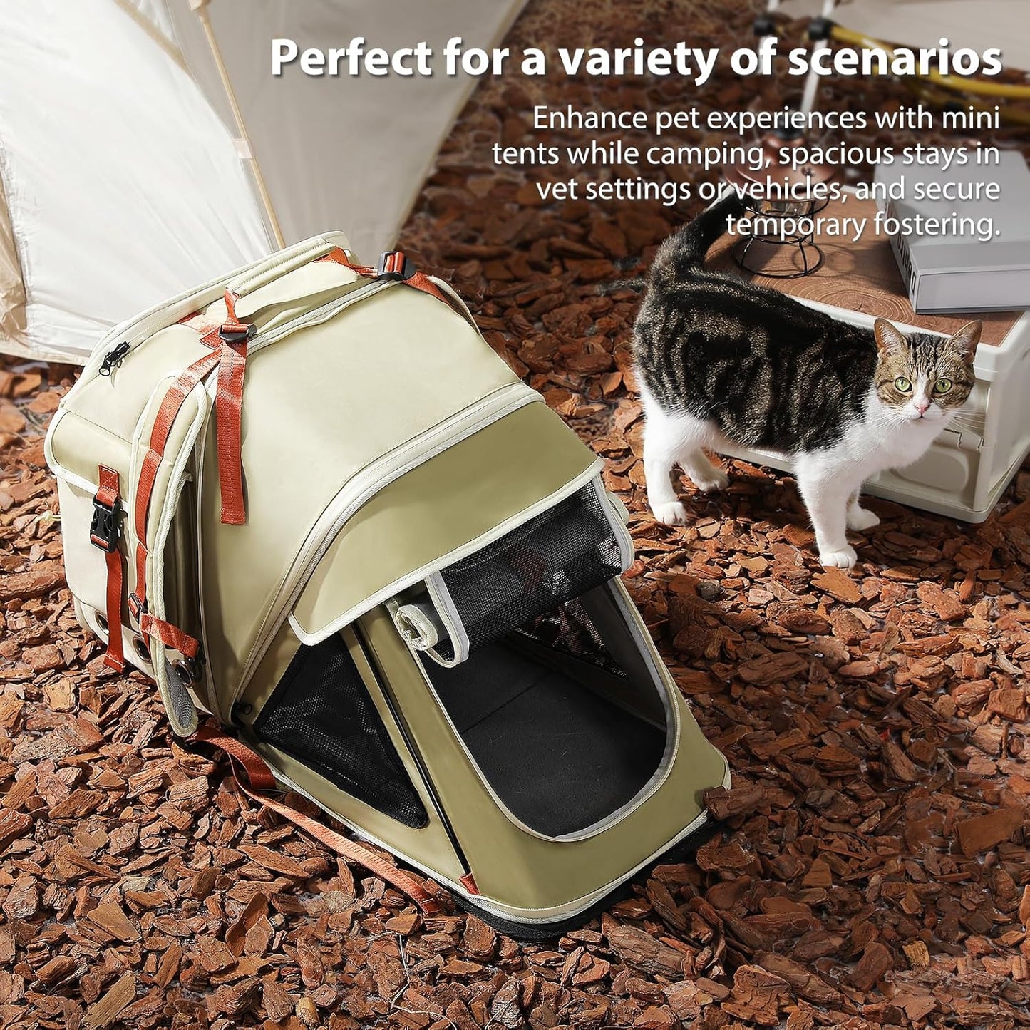 Pet backpack tent on the ground with a cat inside, surrounded by outdoor elements.