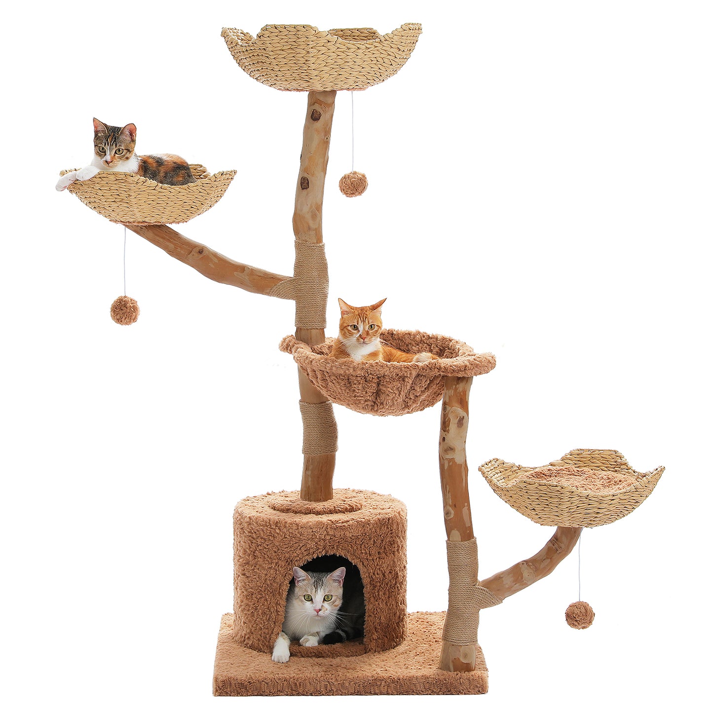 PAWZ Road Cat Tree for Indoor Cats Large Adults, 59 Inches Modern Cat Tower with 3 Large Baskets, Natural Solid Wood, Luxury Condo and Hammock, Modern Furniture for Big Cats, Brown