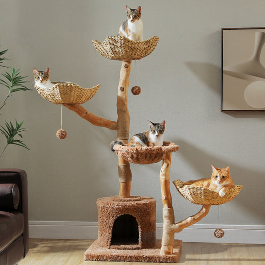PAWZ Road Cat Tree for Indoor Cats Large Adults, 59 Inches Modern Cat Tower with 3 Large Baskets, Natural Solid Wood, Luxury Condo and Hammock, Modern Furniture for Big Cats, Brown