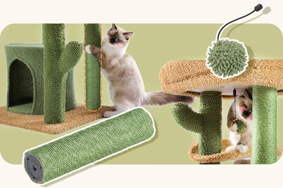 Cat playing with a scratching post and toy on a green background