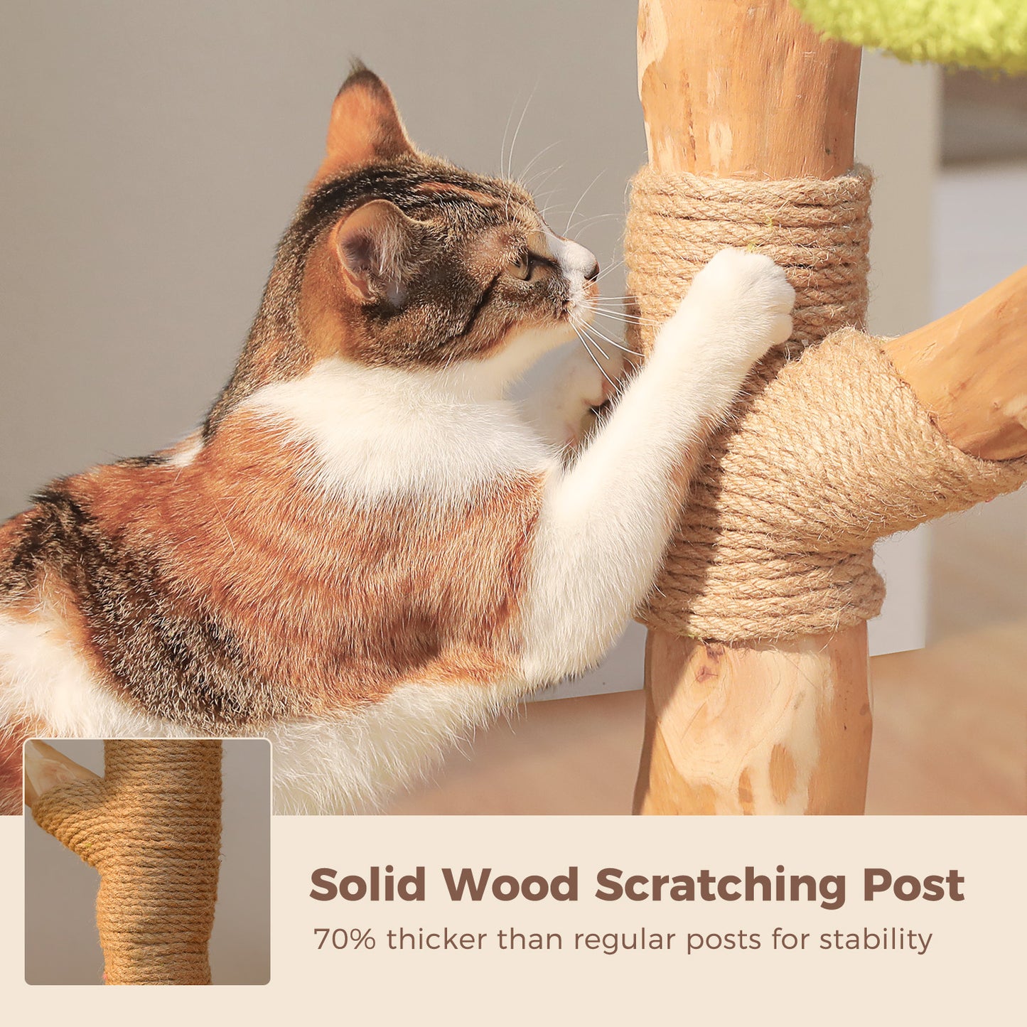 53.5 in (136 cm) Flower Cat Tree with Cat Condo, Solid Wood Scratching Posts & Washable Top Perch — for Cats up to 6.8 kg (15 lb)