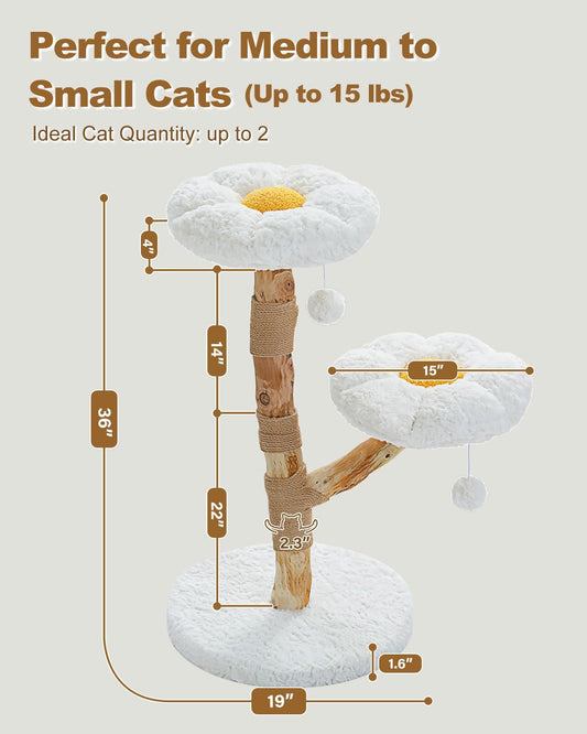 PAWZ Road 36-Inch Modern Luxury Wood Cat Tree, Natural Wood, Flower Design for Indoor Cats, White