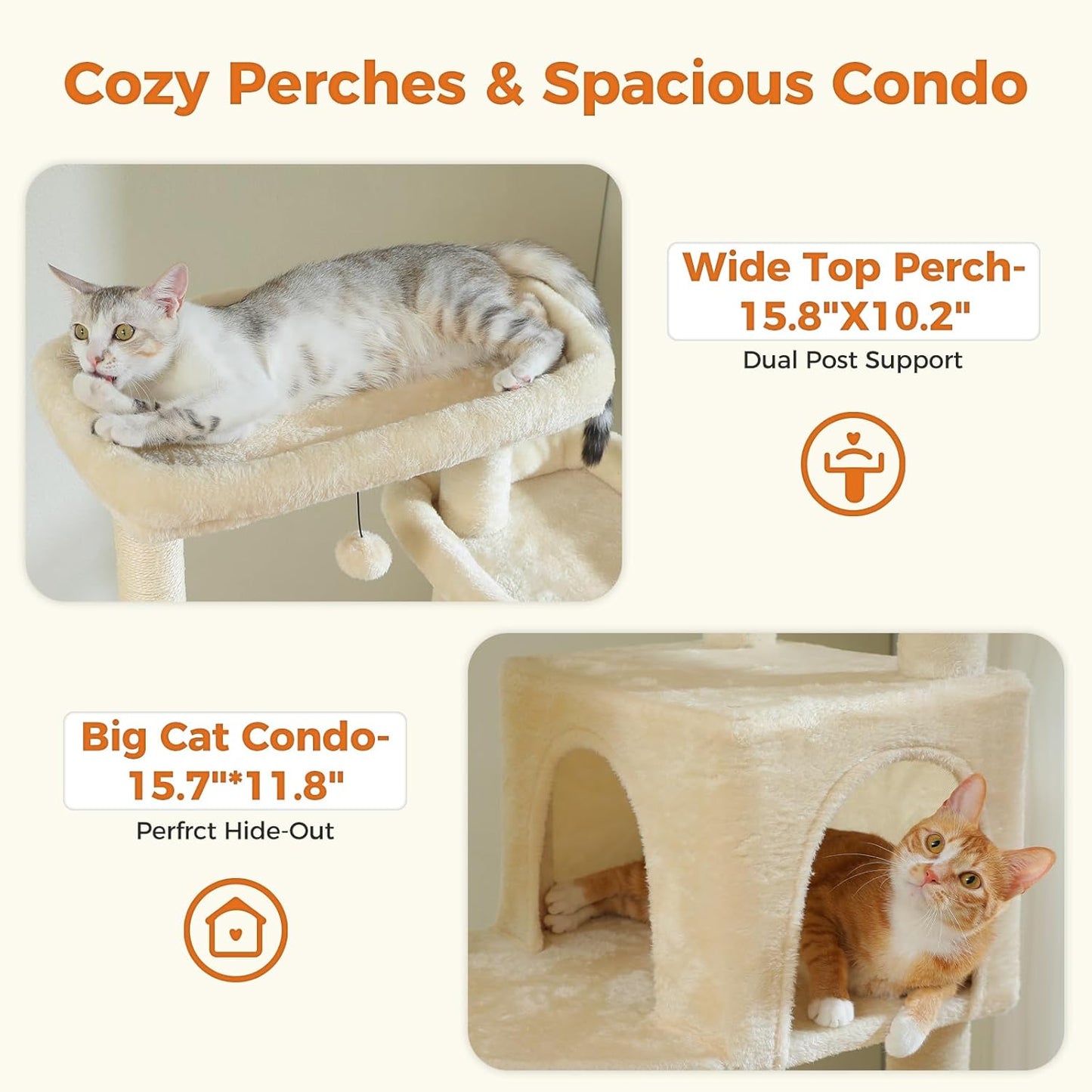Cat perches and condo with text on a white background