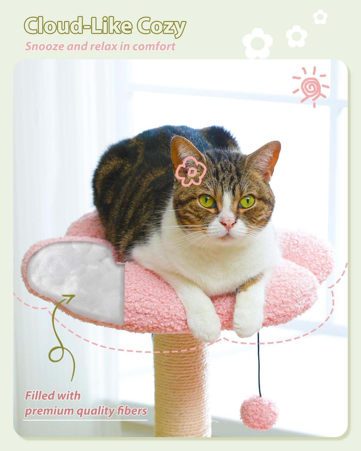 pawz road Cat sitting on a pink cushion with text about cloud-like coziness and premium fibers.