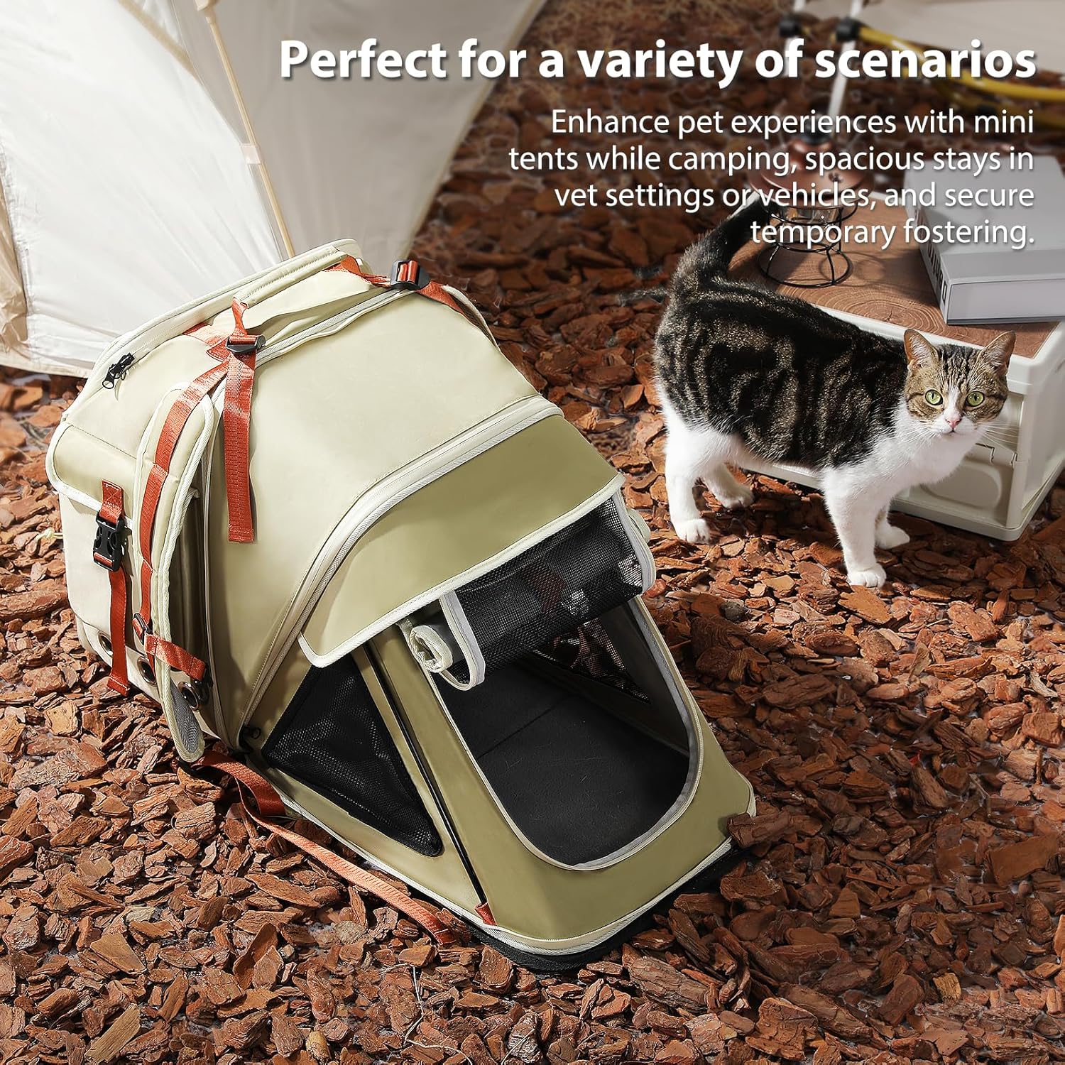 Pet backpack tent on the ground with a cat inside, surrounded by outdoor elements.