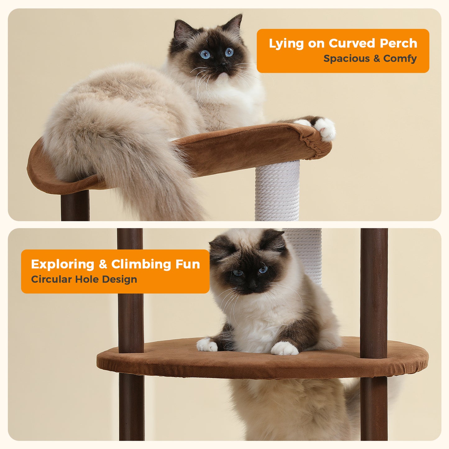 Modern Wooden Multi-Level Cat Tree with Curved Perch & Cotton Rope Scratcher