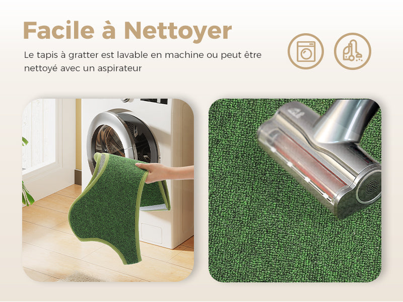 Green carpet cleaning demonstration with washing machine and vacuum cleaner images.