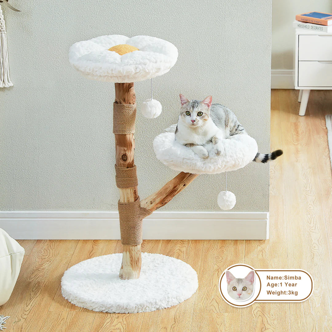 PAWZ Road 36-Inch Modern Luxury Wood Cat Tree, Natural Wood, Flower Design for Indoor Cats, White
